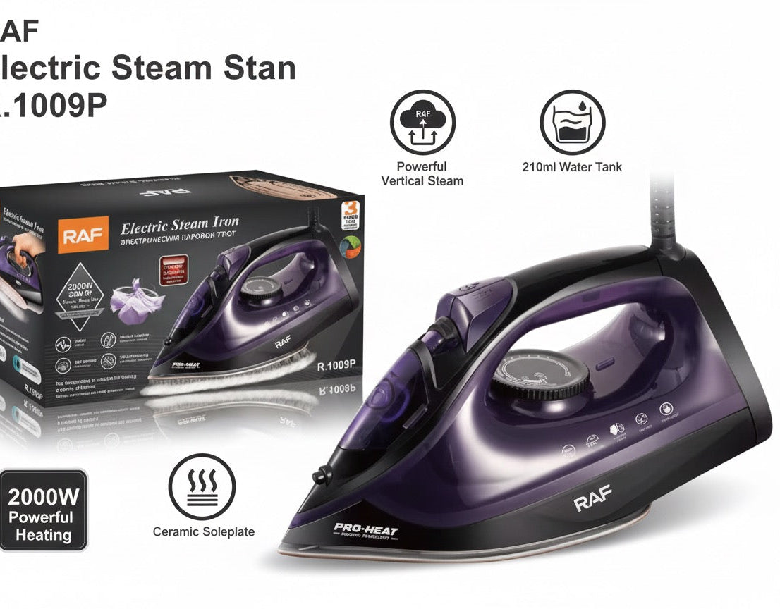 Electric steam iron